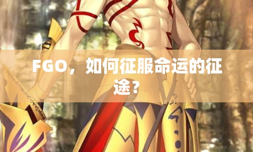 FGO，如何征服命運的征途？