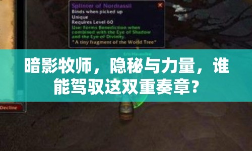 暗影牧師，隱秘與力量，誰能駕馭這雙重奏章？