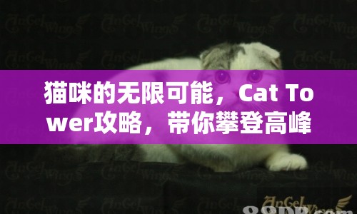 貓咪的無限可能，Cat Tower攻略，帶你攀登高峰！