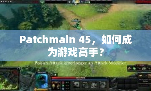 Patchmain 45，如何成為游戲高手？