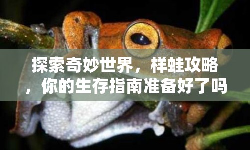 探索奇妙世界，樣蛙攻略，你的生存指南準(zhǔn)備好了嗎？