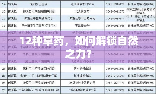 12種草藥，如何解鎖自然之力？