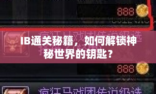 IB通關(guān)秘籍，如何解鎖神秘世界的鑰匙？