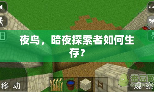 夜鳥，暗夜探索者如何生存？