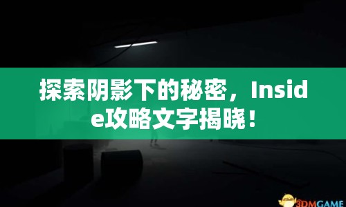 探索陰影下的秘密，Inside攻略文字揭曉！