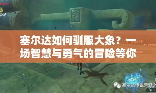 塞爾達(dá)如何馴服大象？一場(chǎng)智慧與勇氣的冒險(xiǎn)等你來(lái)挑戰(zhàn)！