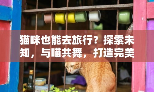 貓咪也能去旅行？探索未知，與喵共舞，打造完美貓咪出游攻略！