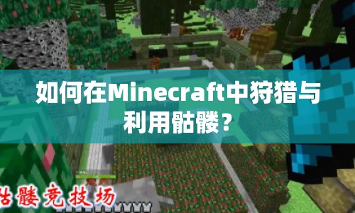 如何在Minecraft中狩獵與利用骷髏？