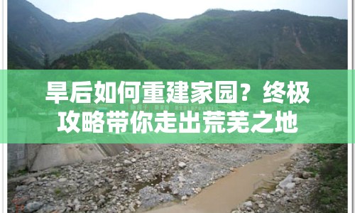 旱后如何重建家園？終極攻略帶你走出荒蕪之地