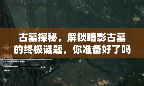 古墓探秘，解鎖暗影古墓的終極謎題，你準(zhǔn)備好了嗎？