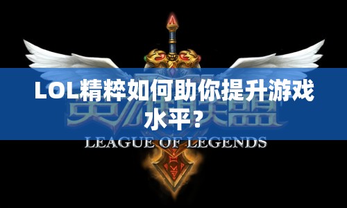 LOL精粹如何助你提升游戲水平？