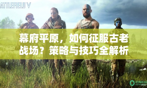 幕府平原，如何征服古老戰(zhàn)場？策略與技巧全解析！