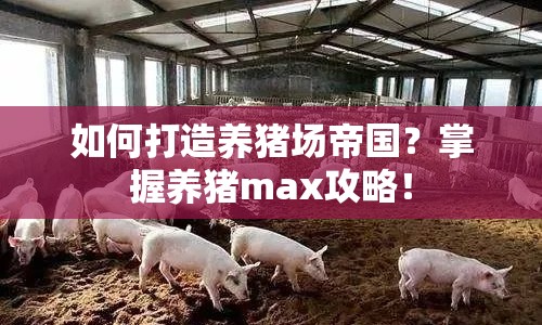 如何打造養(yǎng)豬場帝國？掌握養(yǎng)豬max攻略！