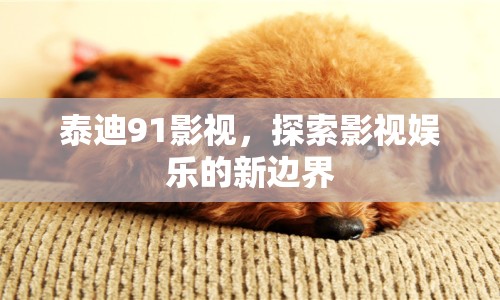 泰迪91影視，探索影視娛樂(lè)的新邊界