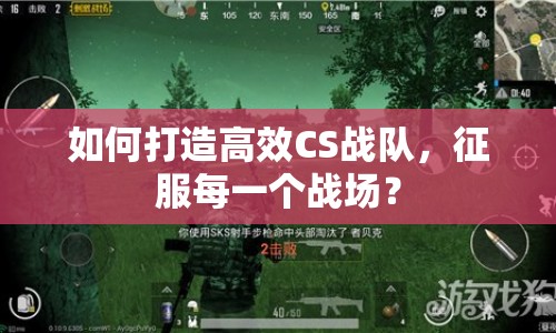 如何打造高效CS戰(zhàn)隊，征服每一個戰(zhàn)場？