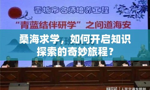 桑海求學(xué)，如何開啟知識探索的奇妙旅程？