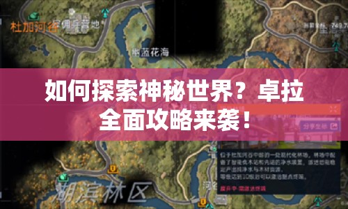 如何探索神秘世界？卓拉全面攻略來襲！