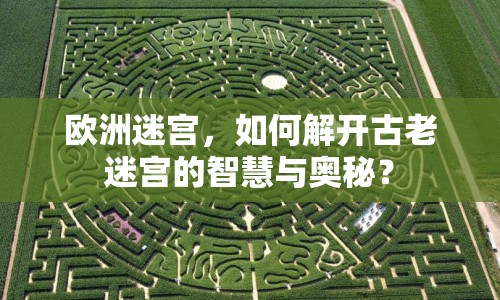 歐洲迷宮，如何解開(kāi)古老迷宮的智慧與奧秘？