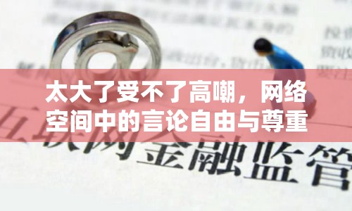 太大了受不了高嘲，網(wǎng)絡(luò)空間中的言論自由與尊重界限