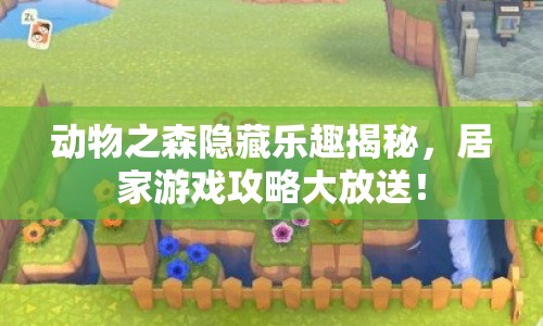 動物之森隱藏樂趣揭秘，居家游戲攻略大放送！