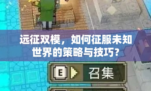 遠(yuǎn)征雙模，如何征服未知世界的策略與技巧？