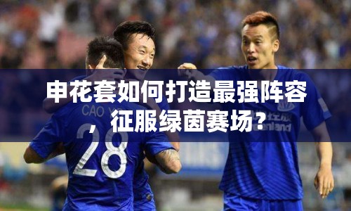 申花套如何打造最強陣容，征服綠茵賽場？