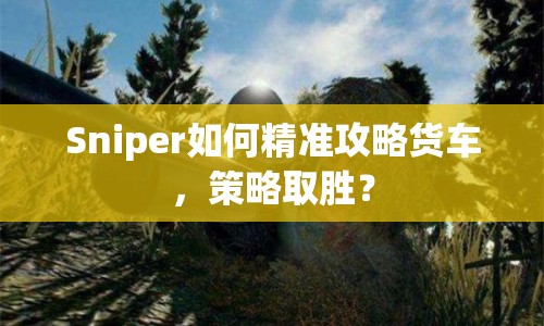 Sniper如何精準(zhǔn)攻略貨車(chē)，策略取勝？