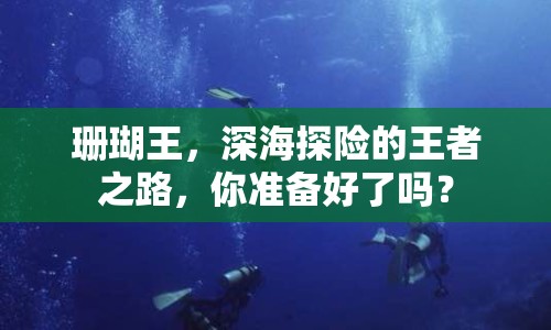 珊瑚王，深海探險(xiǎn)的王者之路，你準(zhǔn)備好了嗎？