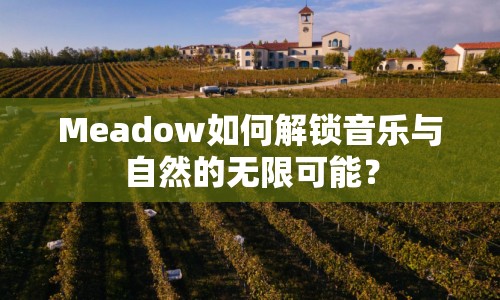 Meadow如何解鎖音樂與自然的無限可能？