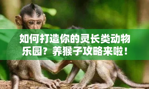 如何打造你的靈長類動物樂園？養(yǎng)猴子攻略來啦！