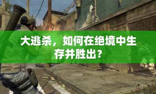 大逃殺，如何在絕境中生存并勝出？