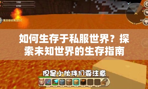 如何生存于私服世界？探索未知世界的生存指南