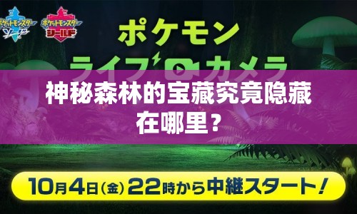 神秘森林的寶藏究竟隱藏在哪里？