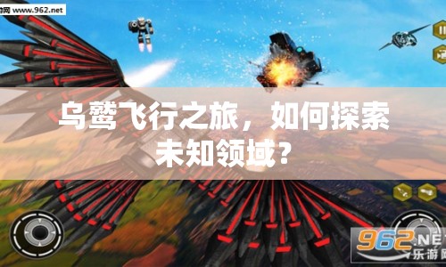 烏鷲飛行之旅，如何探索未知領(lǐng)域？