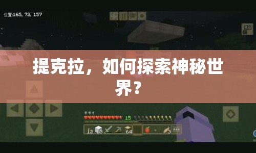 提克拉，如何探索神秘世界？