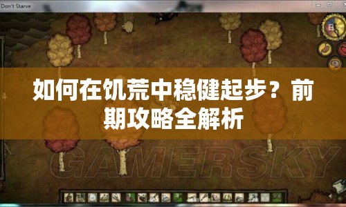 如何在饑荒中穩(wěn)健起步？前期攻略全解析