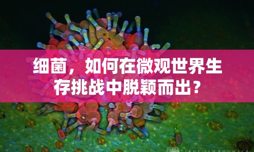 細菌，如何在微觀世界生存挑戰(zhàn)中脫穎而出？