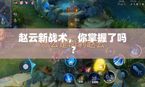 趙云新戰(zhàn)術(shù)，你掌握了嗎？