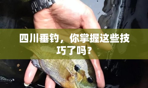 四川垂釣，你掌握這些技巧了嗎？
