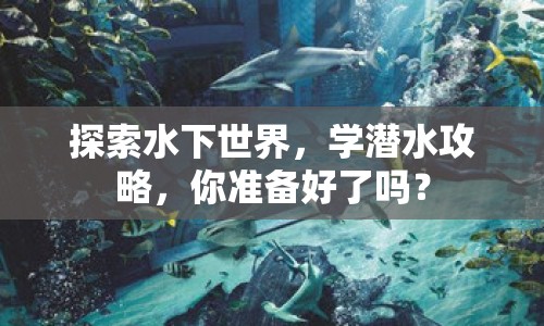 探索水下世界，學(xué)潛水攻略，你準(zhǔn)備好了嗎？