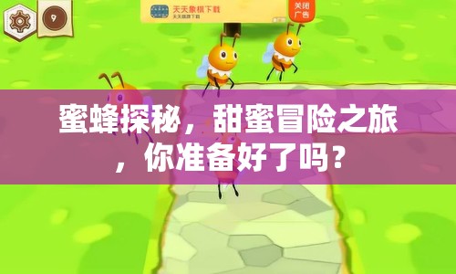 蜜蜂探秘，甜蜜冒險之旅，你準備好了嗎？
