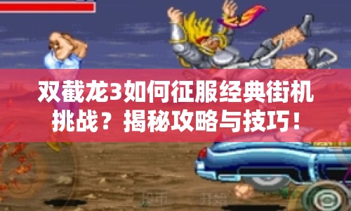 雙截龍3如何征服經(jīng)典街機挑戰(zhàn)？揭秘攻略與技巧！