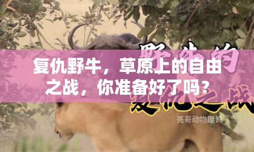 復(fù)仇野牛，草原上的自由之戰(zhàn)，你準(zhǔn)備好了嗎？