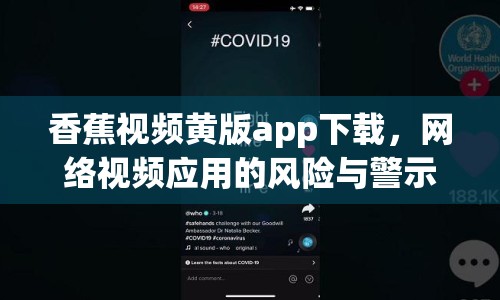 香蕉視頻黃版app下載，網(wǎng)絡視頻應用的風險與警示