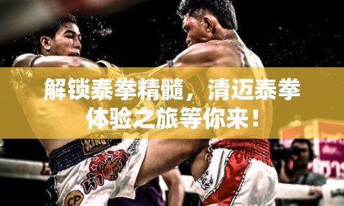 解鎖泰拳精髓，清邁泰拳體驗之旅等你來！