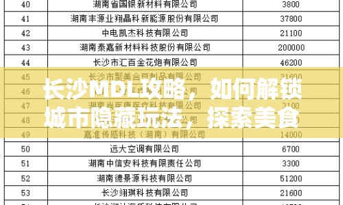 長沙MDL攻略，如何解鎖城市隱藏玩法，探索美食與文化之旅？