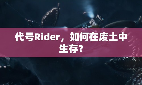 代號(hào)Rider，如何在廢土中生存？