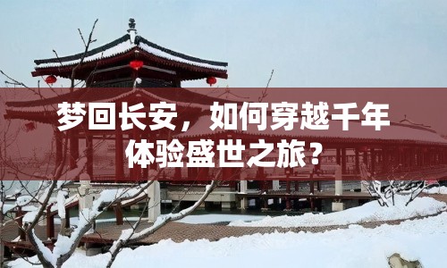 夢(mèng)回長(zhǎng)安，如何穿越千年體驗(yàn)盛世之旅？
