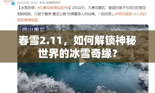 春雪2.11，如何解鎖神秘世界的冰雪奇緣？