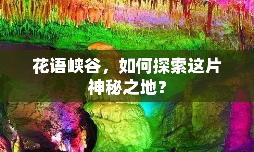 花語峽谷，如何探索這片神秘之地？